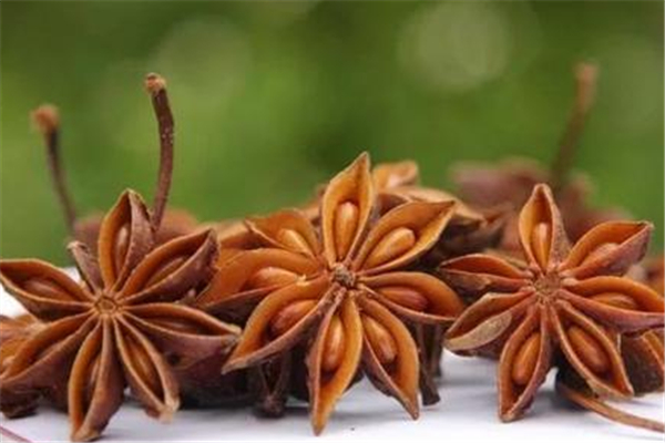 八角在鹵水中的作用 八角在鹵水中的用量 八角在鹵水中的作用 八角在鹵水中的用量