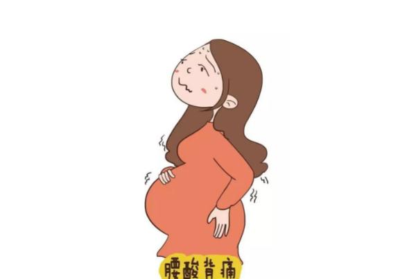 孕晚期可以吃梭子蟹嗎 孕晚期肚子發(fā)硬發(fā)緊是怎么回事 孕晚期可以吃梭子蟹嗎 孕晚期肚子發(fā)硬發(fā)緊是怎么回事