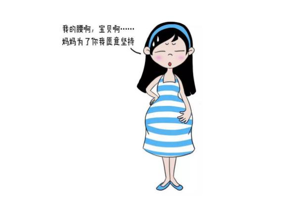 孕晚期是多少周開始 孕晚期會(huì)嗜睡嗎 孕晚期是多少周開始 孕晚期會(huì)嗜睡嗎