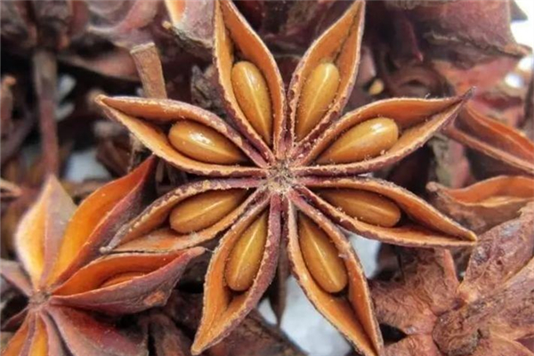 八角一次放多少 八角放多了怎么補(bǔ)救 八角一次放多少 八角放多了怎么補(bǔ)救