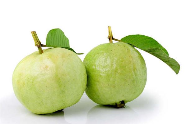 番石榴有點(diǎn)澀是怎么回事 番石榴的禁忌 番石榴有點(diǎn)澀是怎么回事 番石榴的禁忌