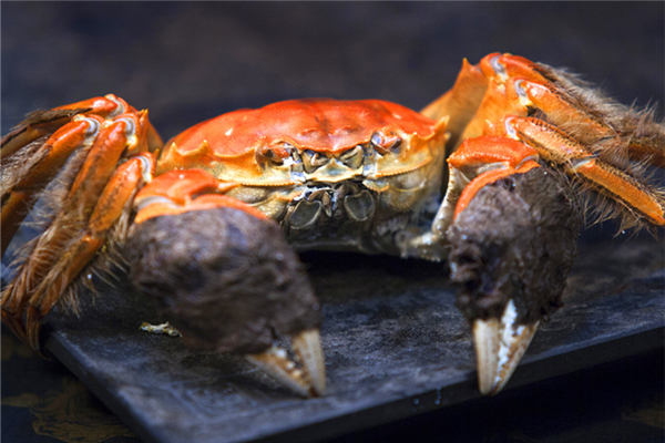 螃蟹什么時候最肥 螃蟹什么時候黃多 螃蟹什么時候最肥 螃蟹什么時候黃多