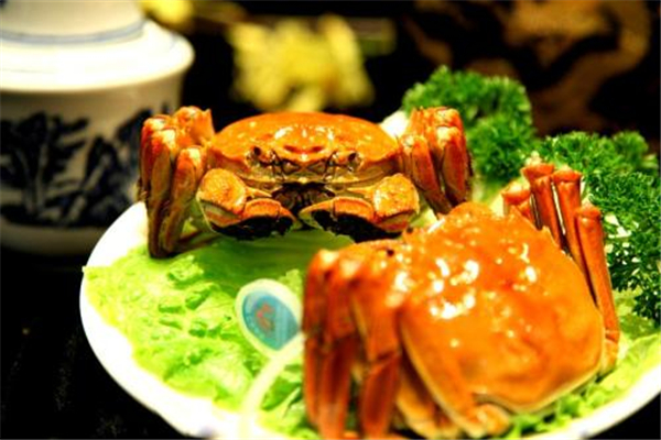 螃蟹什么時候最肥 螃蟹什么時候黃多 螃蟹什么時候最肥 螃蟹什么時候黃多