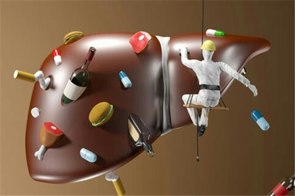 酒精肝戒酒了以后多長時間能恢復(fù) 酒精肝要戒酒嗎 酒精肝戒酒了以后多長時間能恢復(fù) 酒精肝要戒酒嗎