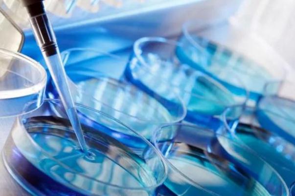 試管嬰兒會宮外孕嗎 試管嬰兒會胎停嗎 試管嬰兒會宮外孕嗎 試管嬰兒會胎停嗎