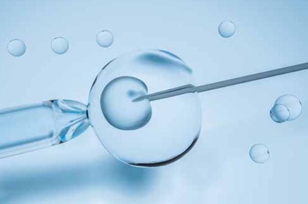 試管嬰兒有畸形的風(fēng)險(xiǎn)嗎 試管嬰兒有唐氏兒嗎 試管嬰兒有畸形的風(fēng)險(xiǎn)嗎 試管嬰兒有唐氏兒嗎