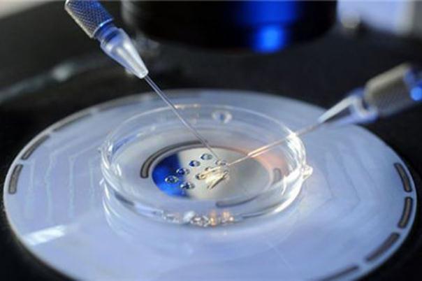 試管嬰兒的孩子智商怎么樣 試管嬰兒一定會(huì)成功嗎 試管嬰兒的孩子智商怎么樣 試管嬰兒一定會(huì)成功嗎