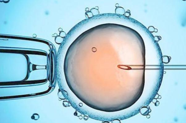 試管嬰兒是自己懷孕嗎 試管嬰兒后能自然懷孕嗎 試管嬰兒是自己懷孕嗎 試管嬰兒后能自然懷孕嗎