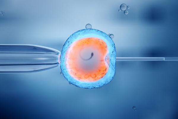 試管嬰兒有畸形的風(fēng)險(xiǎn)嗎 試管嬰兒有唐氏兒嗎 試管嬰兒有畸形的風(fēng)險(xiǎn)嗎 試管嬰兒有唐氏兒嗎