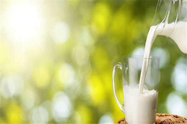羊奶會(huì)導(dǎo)致腹瀉嗎 喝羊奶注意事項(xiàng) 羊奶會(huì)導(dǎo)致腹瀉嗎 喝羊奶注意事項(xiàng)