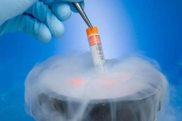 試管嬰兒會宮外孕嗎 試管嬰兒會胎停嗎 試管嬰兒會宮外孕嗎 試管嬰兒會胎停嗎