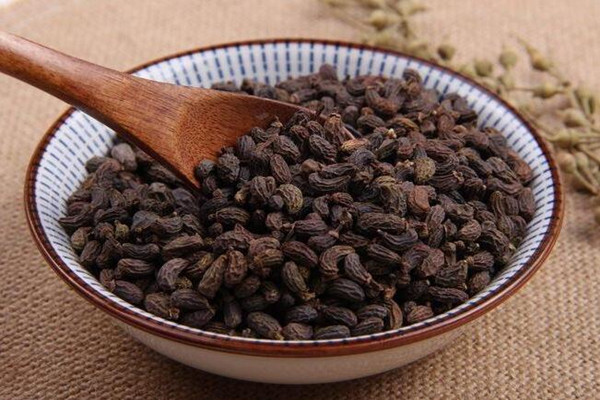 女貞子可以泡酒嗎 女貞子泡酒的功能 女貞子可以泡酒嗎 女貞子泡酒的功能