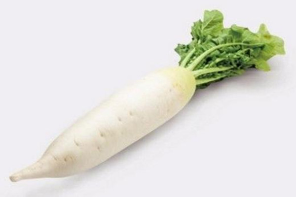 白蘿卜可以和胡蘿卜一起吃嗎 白蘿卜可以和西紅柿一起吃嗎 白蘿卜可以和胡蘿卜一起吃嗎 白蘿卜可以和西紅柿一起吃嗎