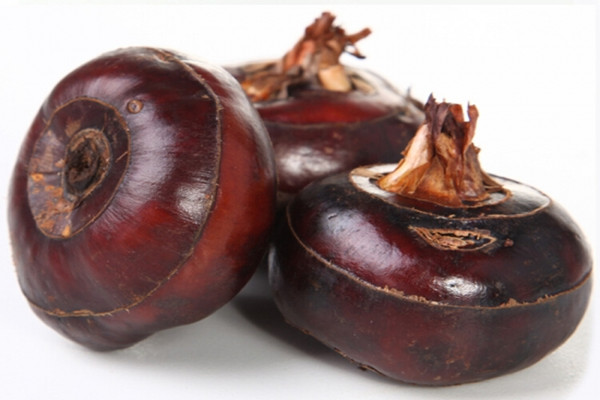 荸薺是馬蹄嗎 荸薺是涼性的嗎 荸薺是馬蹄嗎 荸薺是涼性的嗎