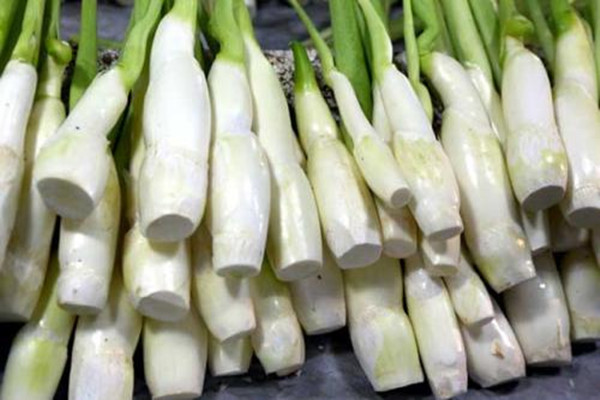 茭白會(huì)導(dǎo)致尿酸高嗎 茭白會(huì)導(dǎo)致過(guò)敏嗎 茭白會(huì)導(dǎo)致尿酸高嗎 茭白會(huì)導(dǎo)致過(guò)敏嗎