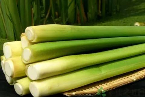 茭白寶寶能吃嗎 孕婦能吃茭白嗎 茭白寶寶能吃嗎 孕婦能吃茭白嗎
