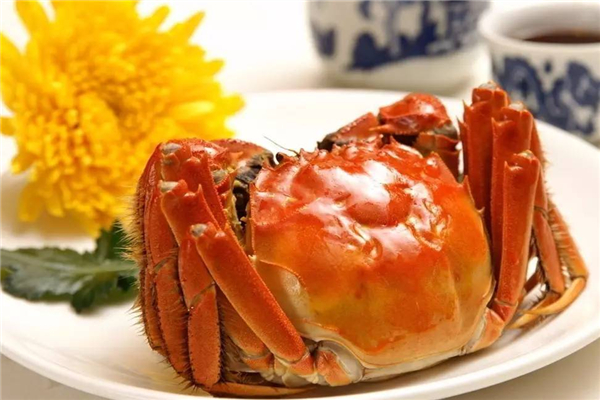 陽澄湖大閘蟹在哪里買最正宗 陽澄湖大閘蟹怎么做好吃 陽澄湖大閘蟹在哪里買最正宗 陽澄湖大閘蟹怎么做好吃