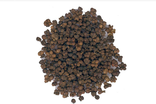 吳茱萸可以泡腳嗎 吳茱萸泡腳有什么好處 吳茱萸可以泡腳嗎 吳茱萸泡腳有什么好處