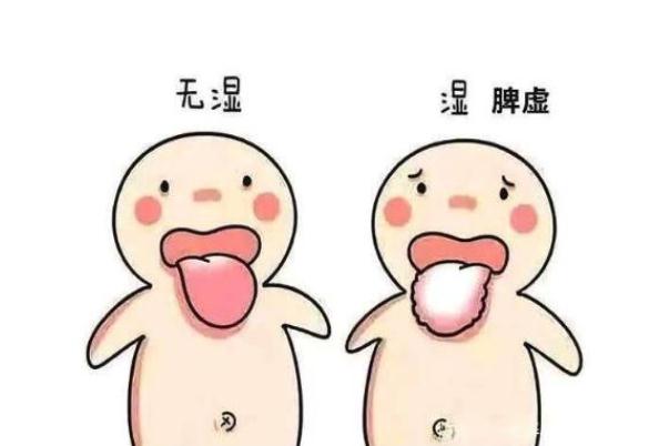 濕氣太重會(huì)掉頭發(fā)嗎 濕氣太重會(huì)不會(huì)長(zhǎng)痘痘 濕氣太重會(huì)掉頭發(fā)嗎 濕氣太重會(huì)不會(huì)長(zhǎng)痘痘