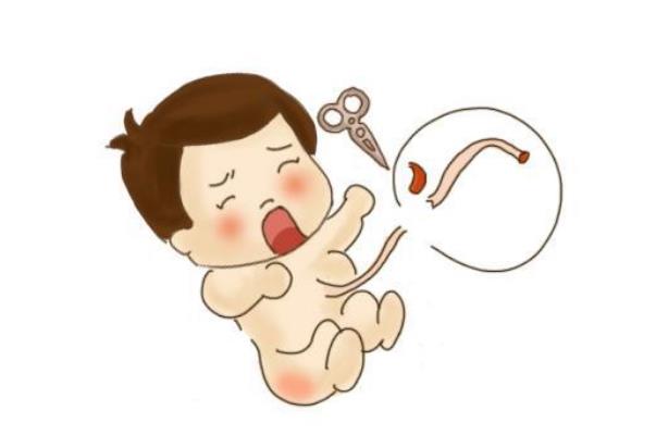 新生兒缺氧要住幾天保溫箱 新生兒缺氧要吸氧多久 新生兒缺氧要住幾天保溫箱 新生兒缺氧要吸氧多久