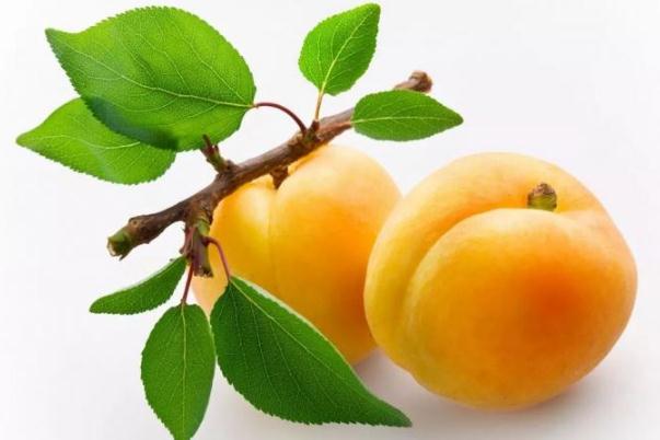 黃桃對胃有傷害嗎 黃桃對腎有影響嗎 黃桃對胃有傷害嗎 黃桃對腎有影響嗎