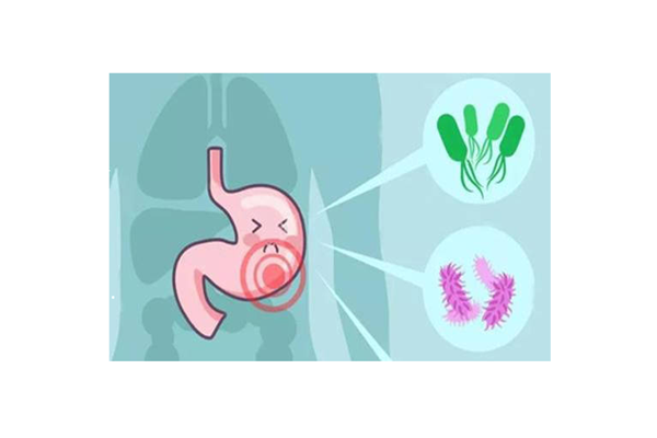 慢性胃炎需要長(zhǎng)期吃藥嗎 慢性胃炎用藥原則 慢性胃炎需要長(zhǎng)期吃藥嗎 慢性胃炎用藥原則