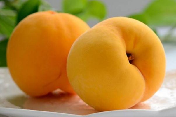 黃桃孕婦可以吃嗎 黃桃孕婦吃有什么好處 黃桃孕婦可以吃嗎 黃桃孕婦吃有什么好處