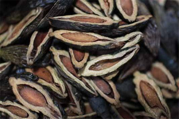 檳榔吃多了嘴巴張不開是什么原因 檳榔吃多了嘴巴張不開怎么恢復(fù) 檳榔吃多了嘴巴張不開是什么原因 檳榔吃多了嘴巴張不開怎么恢復(fù)