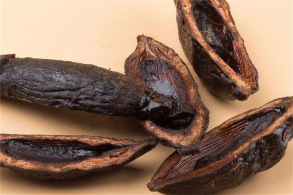 檳榔的功效和作用 檳榔適合什么人群吃 檳榔的功效和作用 檳榔適合什么人群吃