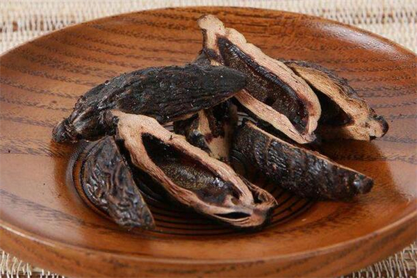 檳榔女生可以吃嗎 檳榔女生吃多了有影響嗎 檳榔女生可以吃嗎 檳榔女生吃多了有影響嗎