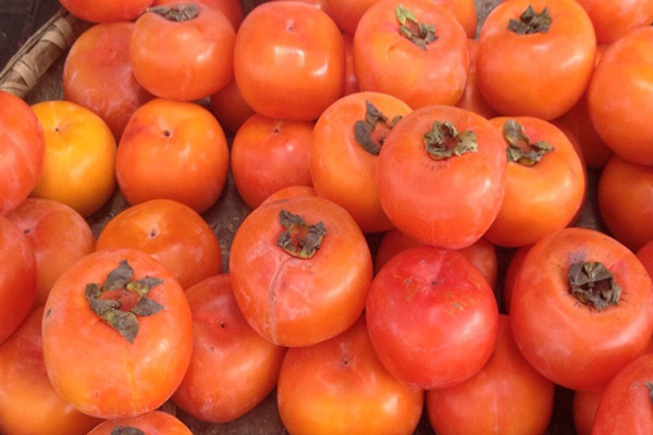 柿子能和蝦一起吃嗎 柿子能和海鮮一起吃嗎 柿子能和蝦一起吃嗎 柿子能和海鮮一起吃嗎