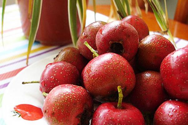 山楂有去濕氣的作用嗎 山楂有止血的功效嗎 山楂有去濕氣的作用嗎 山楂有止血的功效嗎