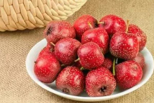 山楂可以降血壓嗎 山楂對膽結(jié)石有好處嗎 山楂可以降血壓嗎 山楂對膽結(jié)石有好處嗎