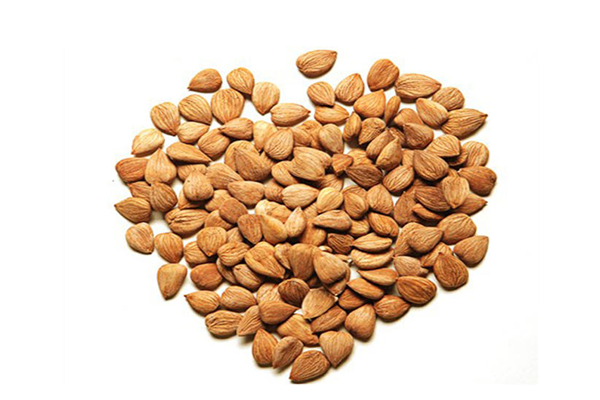 苦杏仁怎么去苦味 苦杏仁怎么去毒 苦杏仁怎么去苦味 苦杏仁怎么去毒