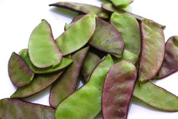 扁豆會脹氣嗎 扁豆會回奶嗎 扁豆會脹氣嗎 扁豆會回奶嗎