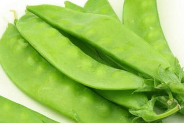 扁豆怎么挑選 扁豆怎么樣算熟了 扁豆怎么挑選 扁豆怎么樣算熟了