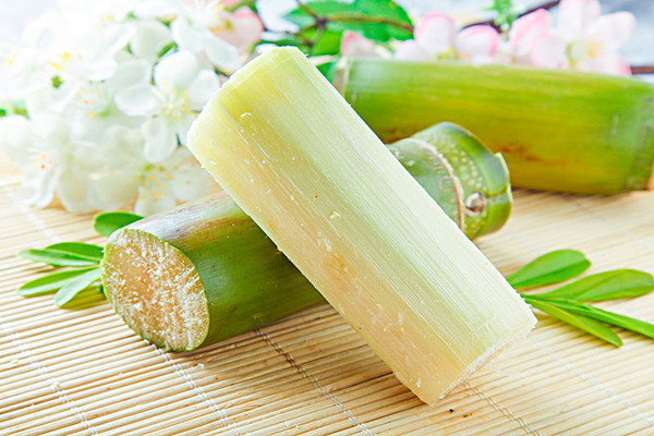 甘蔗會不會胖 甘蔗會不會回奶 甘蔗會不會胖 甘蔗會不會回奶