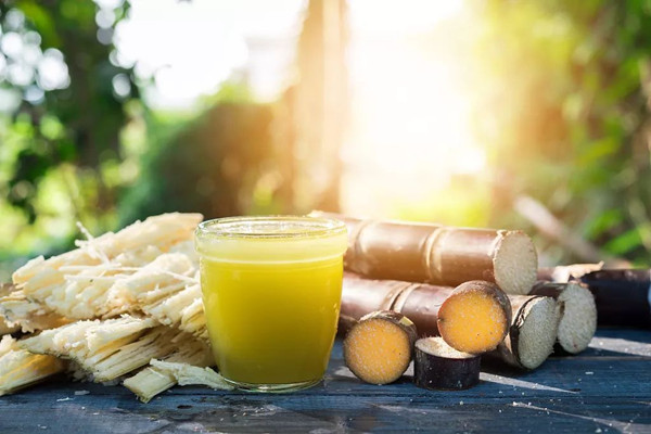 甘蔗適合孕婦吃嗎 小孩吃甘蔗好嗎 甘蔗適合孕婦吃嗎 小孩吃甘蔗好嗎