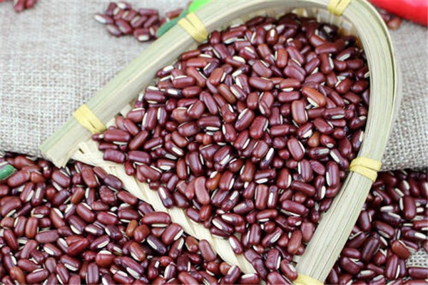 赤小豆可以天天吃嗎 赤小豆多久吃一次 赤小豆可以天天吃嗎 赤小豆多久吃一次