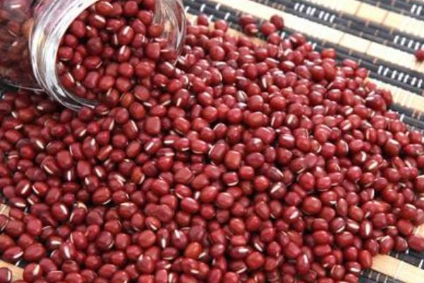 紅豆會(huì)上火嗎 紅豆會(huì)過(guò)敏嗎 紅豆會(huì)上火嗎 紅豆會(huì)過(guò)敏嗎