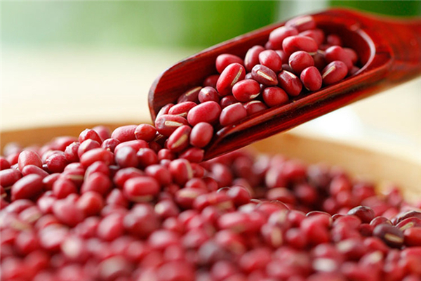 赤小豆有補血的功效嗎 赤小豆對女性的好處 赤小豆有補血的功效嗎 赤小豆對女性的好處