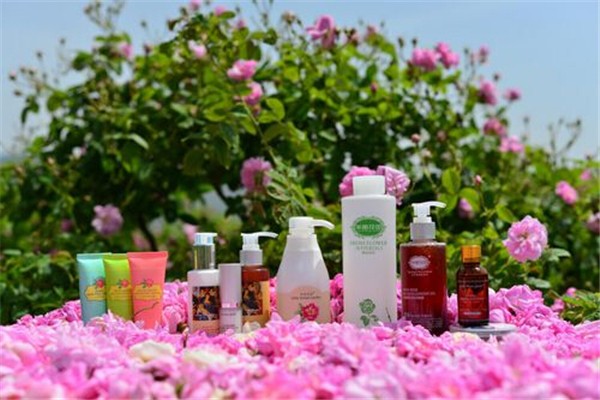 半畝花田是幾線品牌 半畝花田是哪個公司旗下的 半畝花田是幾線品牌 半畝花田是哪個公司旗下的