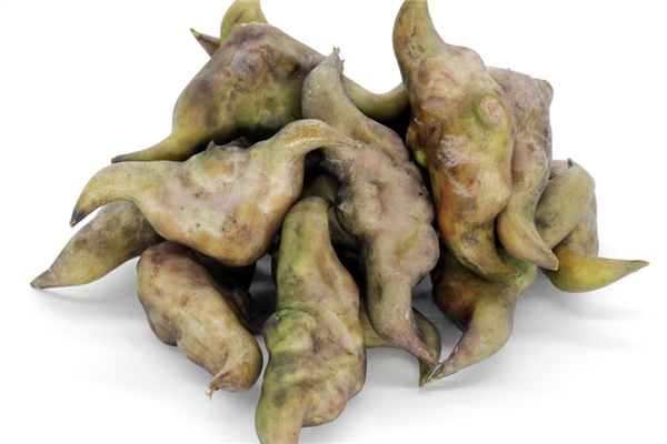 菱角怎么吃怎么破開殼 菱角的功效和作用 菱角怎么吃怎么破開殼 菱角的功效和作用