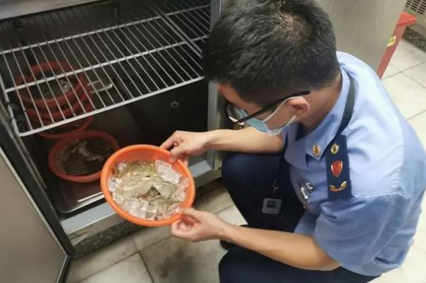 胖哥倆在執(zhí)法人員檢查前丟棄食材 吃死螃蟹有什么危害 胖哥倆在執(zhí)法人員檢查前丟棄食材 吃死螃蟹有什么危害