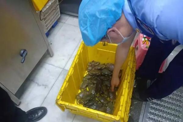 胖哥倆在執(zhí)法人員檢查前丟棄食材 吃死螃蟹有什么危害 胖哥倆在執(zhí)法人員檢查前丟棄食材 吃死螃蟹有什么危害