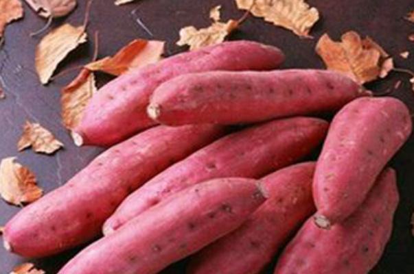 吃紅薯有助于排便嗎 生的紅薯排便效果會更好 吃紅薯有助于排便嗎 生的紅薯排便效果會更好