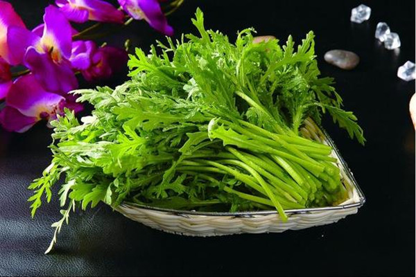 茼蒿需要焯水吃嗎 茼蒿焯水焯多長(zhǎng)時(shí)間 茼蒿需要焯水吃嗎 茼蒿焯水焯多長(zhǎng)時(shí)間