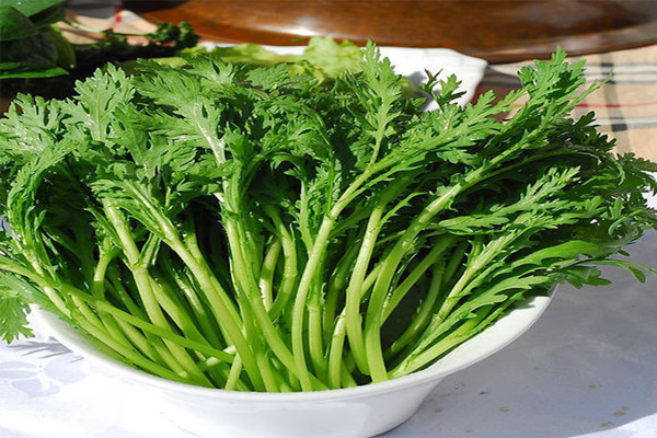 茼蒿可以緩解便秘嗎 茼蒿可以緩解失眠嗎 茼蒿可以緩解便秘嗎 茼蒿可以緩解失眠嗎