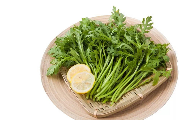 茼蒿寶寶能吃嗎 茼蒿寶寶吃好嗎 茼蒿寶寶能吃嗎 茼蒿寶寶吃好嗎