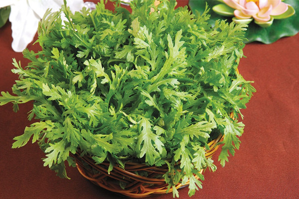 茼蒿的營(yíng)養(yǎng)成分 茼蒿的食用價(jià)值 茼蒿的營(yíng)養(yǎng)成分 茼蒿的食用價(jià)值